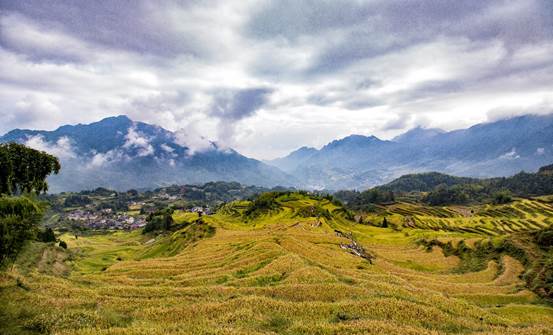 祖国大好河山,最美云和梯田